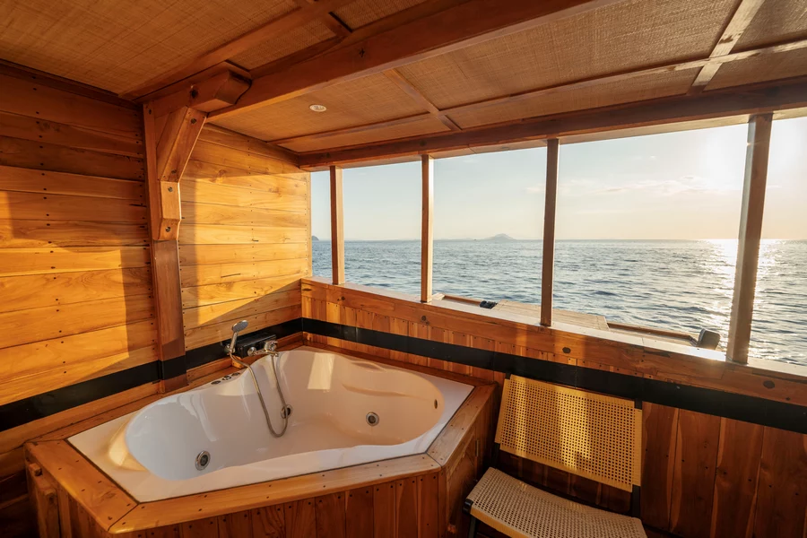 Master Cabin