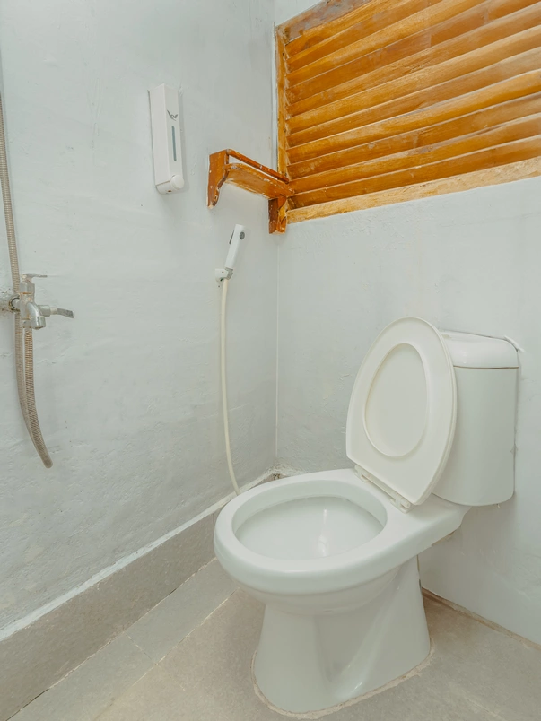 Shared Cabin 6