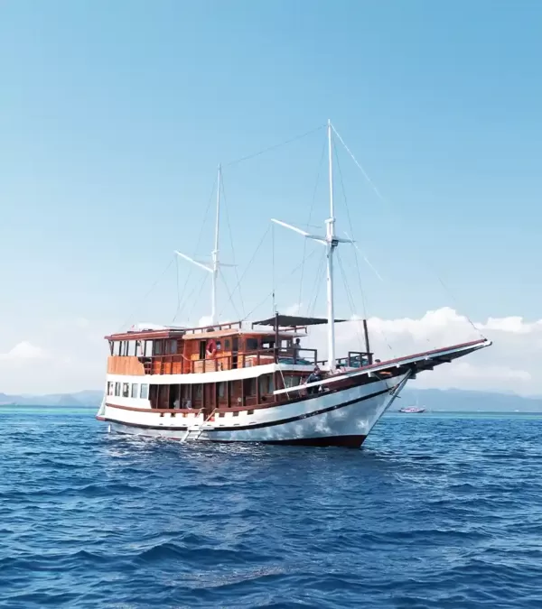 Sewa Kapal Phinisi Deluxe 1 Labuan bajo, Open Trip Labuan bajo, Sailing komodo 3H2M, Phinisi Deluxe Amore