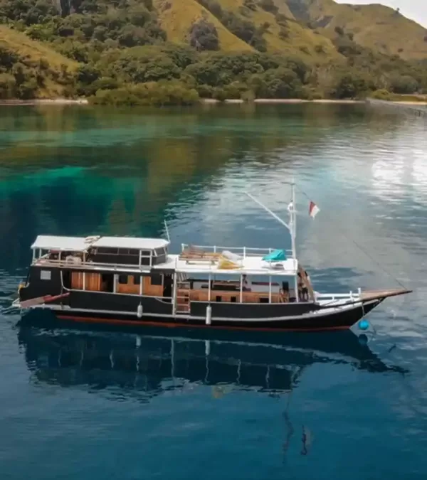 Sewa Kapal Standart V labuan Bajo, Sailing Komodo, Open Trip Labuan Bajo