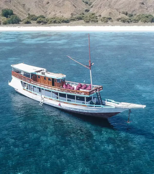 Sewa Kapal Standart III, Open Trip Labuan Bajo, sailing komodo