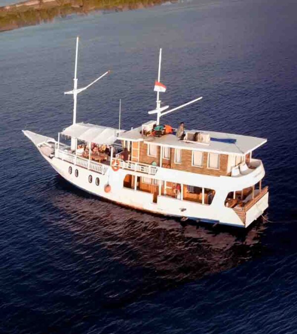 Sewa Kapal Phinisi Deluxe II Labuan bajo, Open Trip Labuan bajo, Sailing komodo 3H2M, Phinisi Deluxe Teman Baik