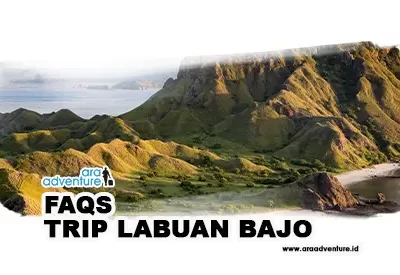 Artikel Faqs Trip Labuan Bajo