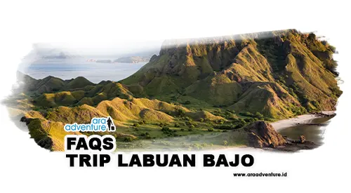 Artikel Faqs Trip Labuan Bajo