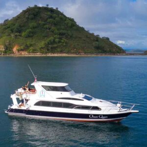 Tur 1 Hari Labuan Bajo, Sewa Speed Boat Labuan Bajo