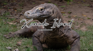 Pulau komodo