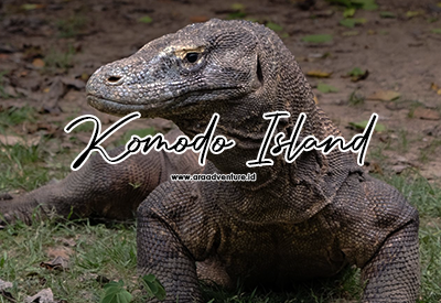 Pulau komodo