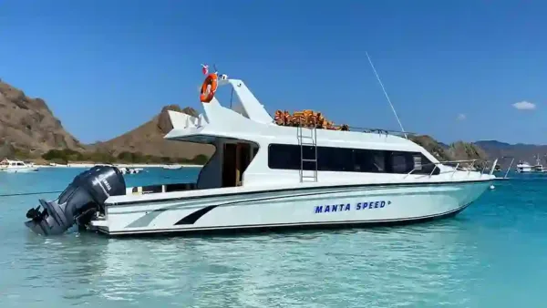 Sewa Speed Boat Manta labuan Bajo, One Day Trip Labuan Bajo Full Day Tour Labuan Bajo