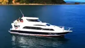 Sewa Speed Boat Labuan Bajo
