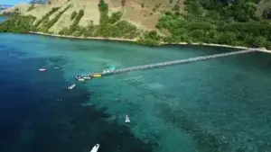 Keanekaragaman hayati yang luar biasa Pulau Manjarite